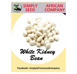 White Kidney Bean Seeds