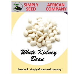 White Kidney Bean Seeds