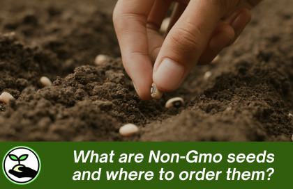 What are Non-Gmo seeds and where to order them?
