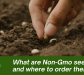 What are Non-Gmo seeds and where to order them?