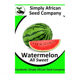 Watermelon (All Sweet) Seeds