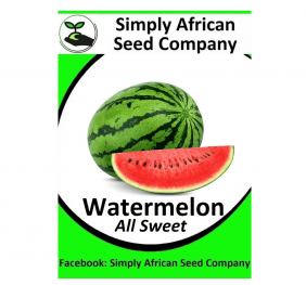 Watermelon (All Sweet) Seeds