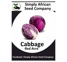 Cabbage Red Acre Seeds