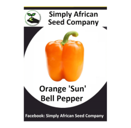 Bell Pepper Orange Sun 15’s