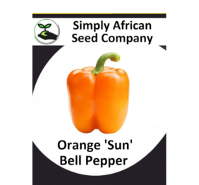 Bell Pepper Orange Sun 15’s