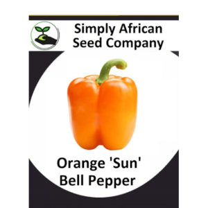 Bell Pepper Orange Sun 15's