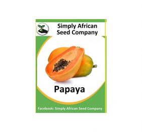 Papaya (Paw-Paw) Seeds