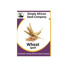 Grain Wheat Spelt