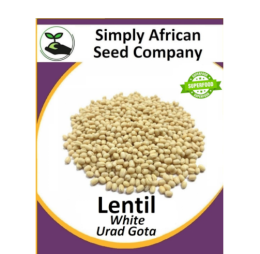 Lentil Urad Gota 15’s