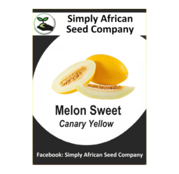 Melon Sweet Canary Yellow 15’s