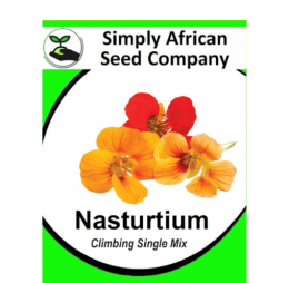 Nasturtium Climbing Single Mix 20’s