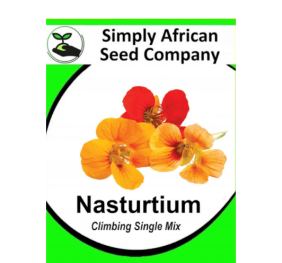 Nasturtium Climbing Single Mix 20’s