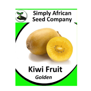 Kiwi Fruit Golden Seeds
