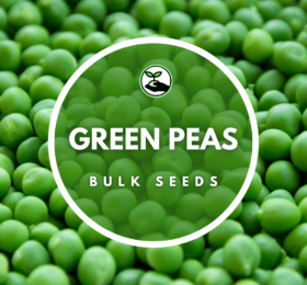 Green Pea Seeds – Bulk Deals
