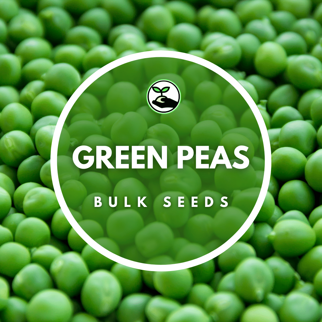 Green Pea Seeds Bulk Deals Simply African Seed Company