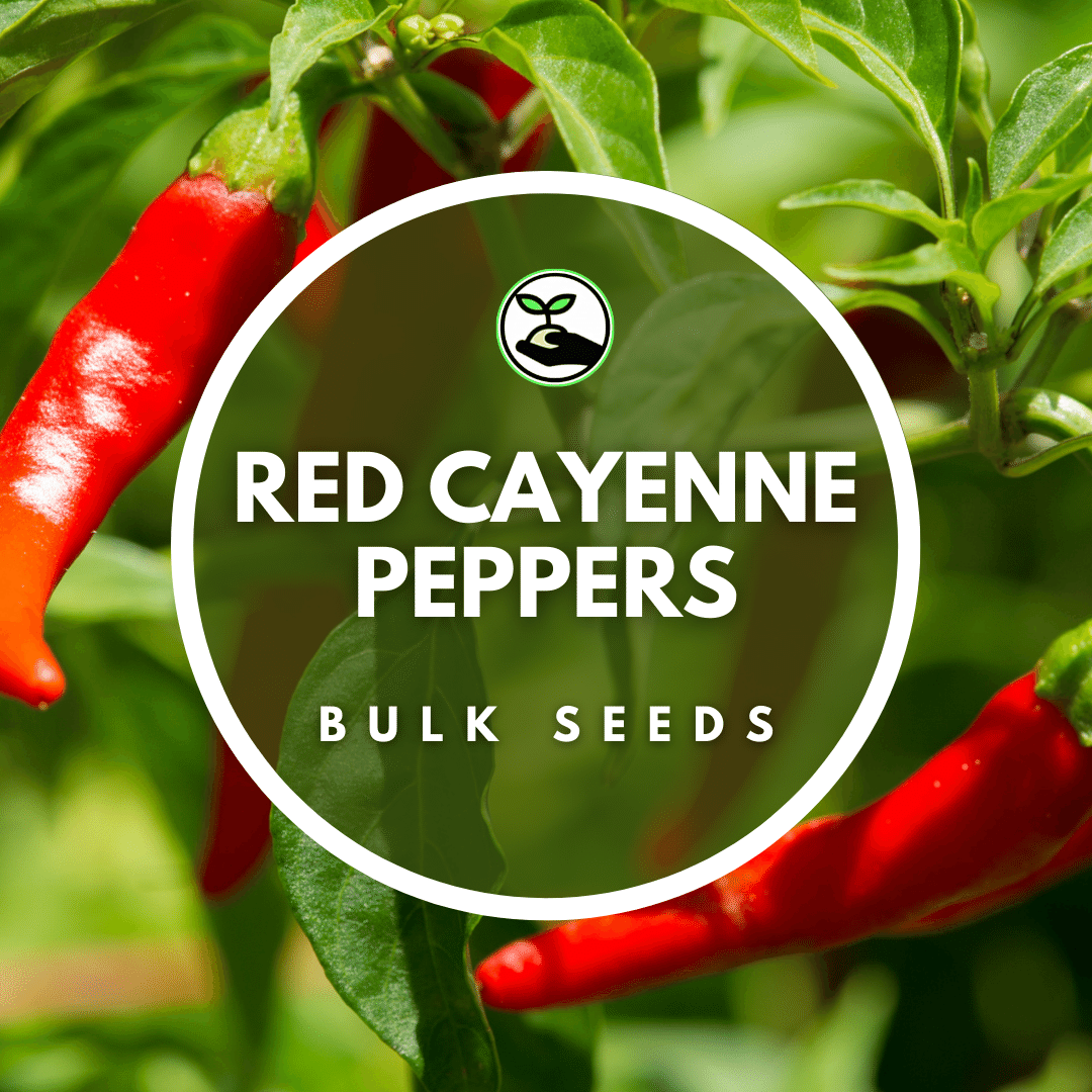 Cayenne pepper cayenne promo pepper