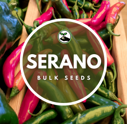 Serano Seeds – Bulk Deals