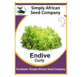 Endive Curly