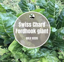 Swiss Chard Seeds – Bulk Deals