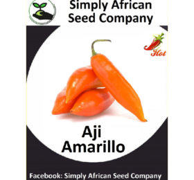 Aji Amarillo Seeds