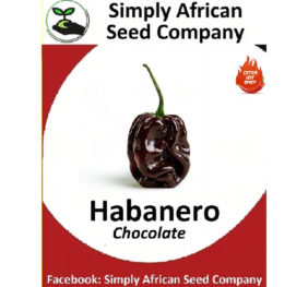Chocolate Habanero Seeds