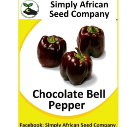 Chocolate Bell Pepper Seeds