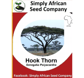Hook Thorn Tree Seeds