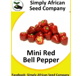 Mini Red Bell Pepper Seeds