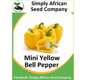 Mini Yellow Bell Pepper Seeds
