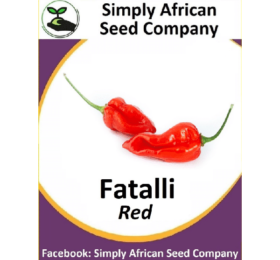 Red Fatalli Seeds