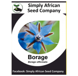 Borage Azure Blue Seeds