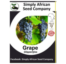 Grape Red Glippertjie seeds