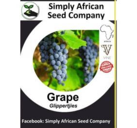 Grape Red Glippertjie seeds