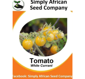 Tomato White Currant Seeds
