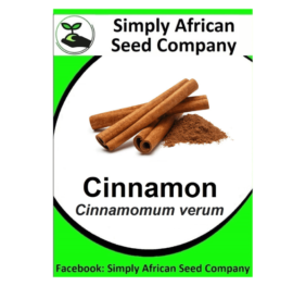 Cinnamon (Cinnamomum Verum) Seeds