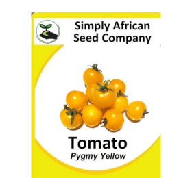 Tomato Pygmy Yellow 15’s
