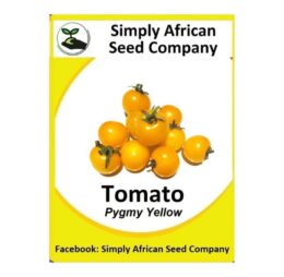 Tomato Pygmy Yellow Seeds