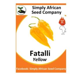 Yellow Fatalli Seeds