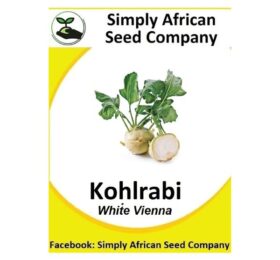 Kohlrabi White Vieanna Seeds