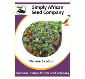 Chinese 5 Colour seeds