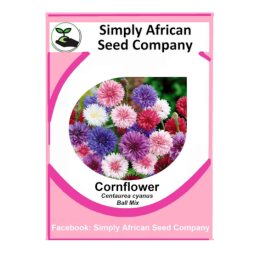 Cornflower Ball Mix (Centaurea Cyanus) 50’s