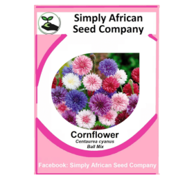 Cornflower Ball Mix (Centaurea Cyanus) 50’s