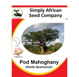 Mahogany Pod  Quanzensis 3’s