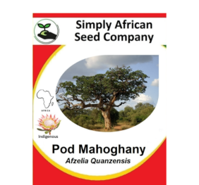Mahogany Pod  Quanzensis 3’s