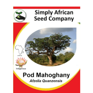 Mahogany Pod  Quanzensis 3's