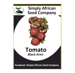 Tomato Black Krim (30’s)