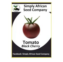 Tomato Cherry Black (15’s)