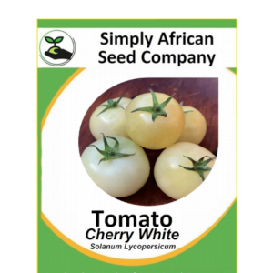 Tomato Cherry White 30's