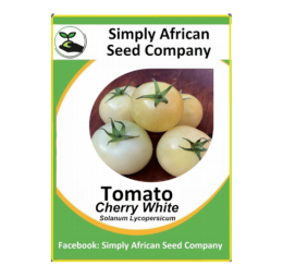 Tomato Cherry White (30’s)