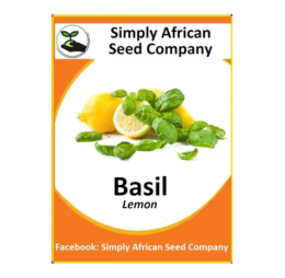 Basil Lemon (50’s)